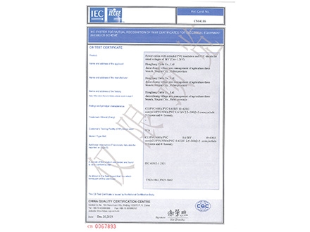 CB认证证书0.6/1kV VV32(CU/PVC/SWA/PVC)